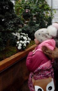 img_20161114_113520