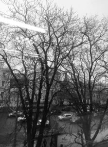 IMG-20171217-WA0015