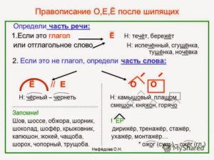 slide_2 (1)