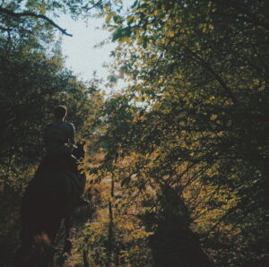 Processed with VSCO with preset